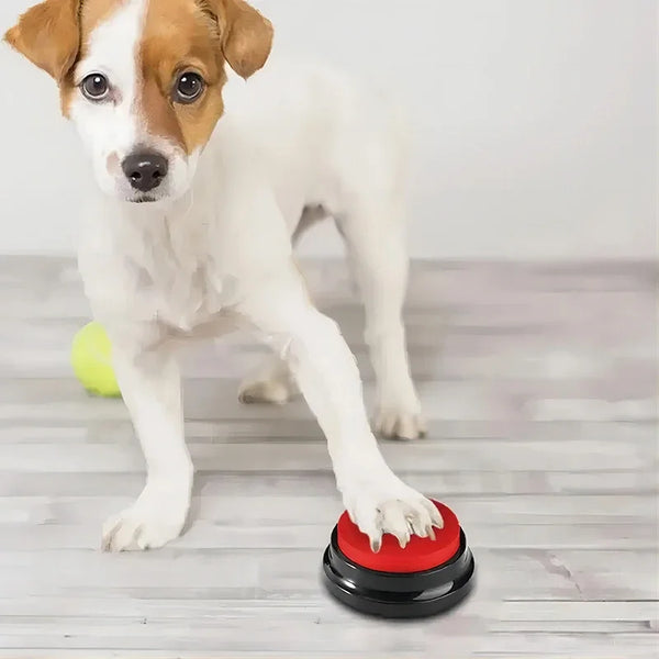 Portable Talking Pet Training Toy